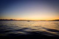 Sunset Coastal Kayaking and Island Hopping. Galway. Guided. 7