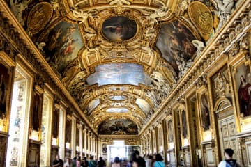 Louvre Museum and Notre-Dame Tour in Paris