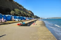 Isle of Wight Full-Day Private Tour from London 3