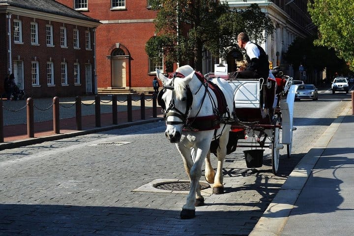 Independence Hall Entry Ticket, Liberty Bell, Map & Walking Tour photo 4