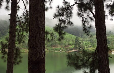 Sembuwatta Lake Nature Day Tour near Kandy, Sri Lanka