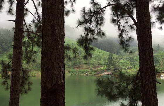 Amazing Sembuwatta Lake Day Tour