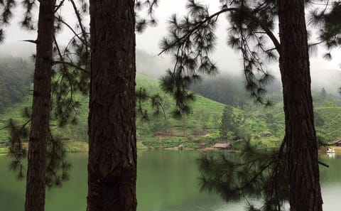Sembuwatta Lake Nature Day Tour near Kandy, Sri Lanka