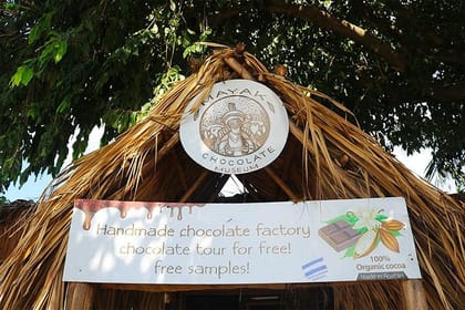 Mega Excursion Zipline, City Tour, Chocolate & Rum Factory, Beach