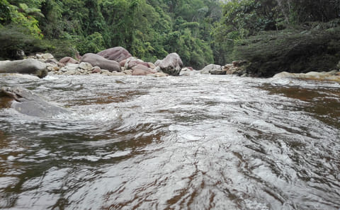 Huacamaillo Waterfall Eco Adventure near Tarapoto, Peru