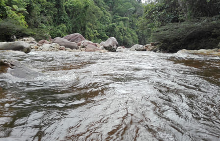 Huacamaillo Waterfall Eco Adventure near Tarapoto, Peru