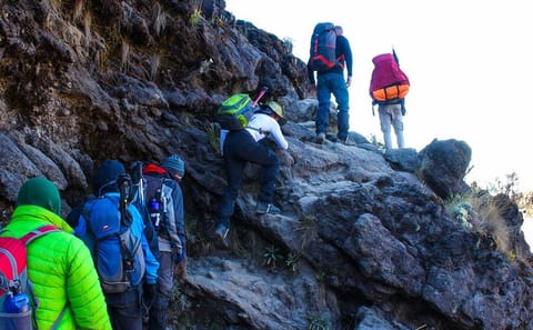 One Day Hike on Narumoro Route in Mount Kenya National Park