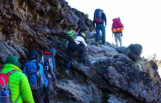1 Day Mount Kenya National Park Hike Through Narumoro Route