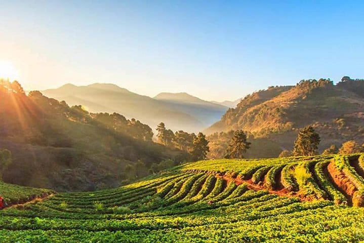Explore Doi Inthanon – Thailand’s Highest Peak near Chiang Mai 4