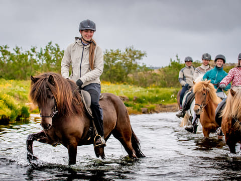 Viking Horses Morning Tour, photo 4