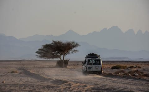 Authentic Desert Safari with Camel Ride in Hurghada