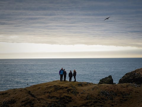 Snaefellsnes: Hidden Gem of the West , photo 26