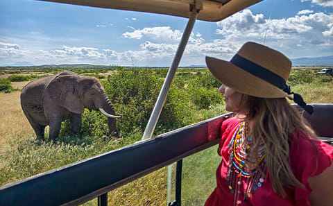 9-Day Great Migration & Crater Safari