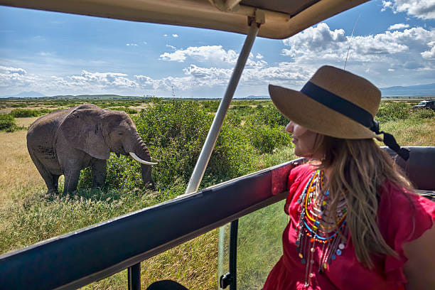 9-Day Great Migration & Crater Safari photo 3