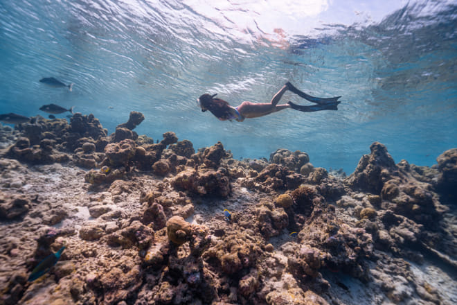 snorkeling Los Cabos coral reef swimmer above reef clear water Baja