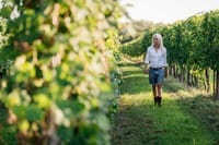 Tasting 6 wines exclusive to Azienda Giovanna Tantini 6