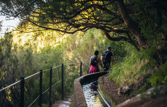 PR6 + PR6.1. 25 Fontes & Risco Levada Hiking Transfer