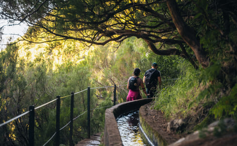 Hiking Tour of 25 Fontes and Risco Levada in Madeira