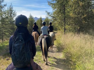 Horse Riding Tour and Explore Scenery in Gásir Akureyri, photo 18