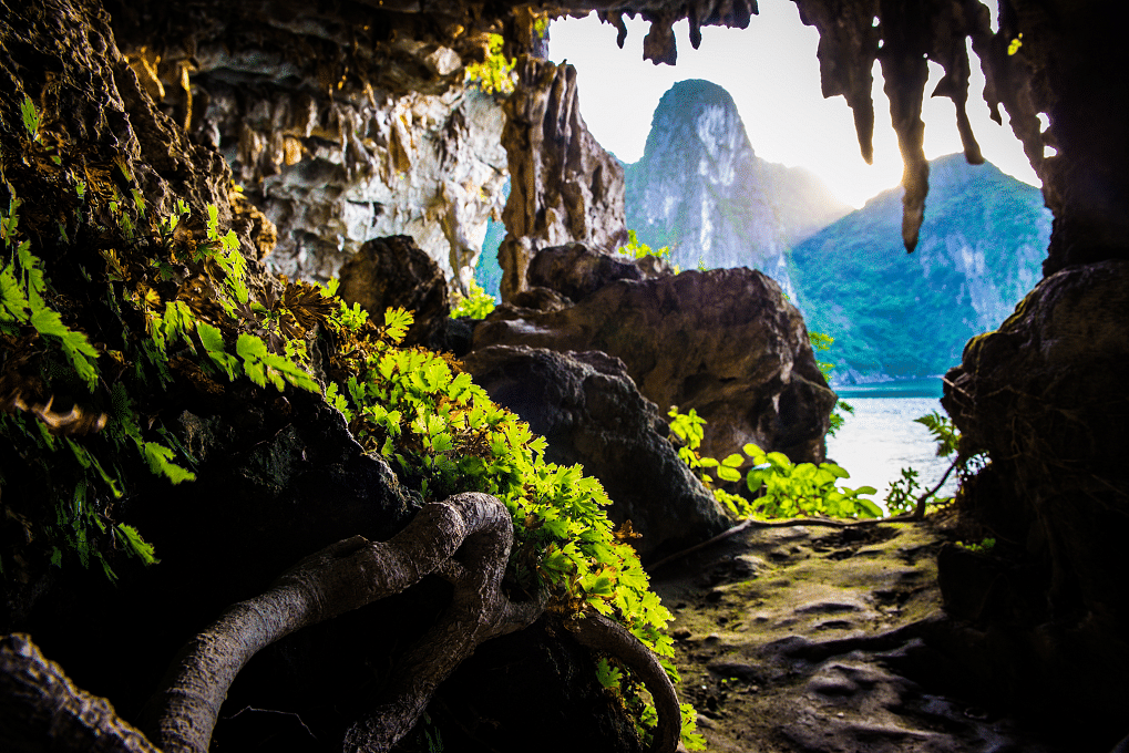 HALONG-LAN HA BAY CRUISE BY ESCAPE SAILS WITH LUNCH AND KAYAKING