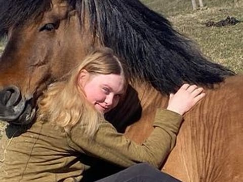 Horse Riding Tour and Explore Scenery in Gásir Akureyri, photo 2