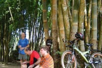 Full-Day Advanced XC Downhill Biking at Doi Suthep National Park Chiang Mai 9