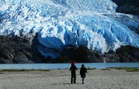 Cruise through the Glaciers from Ushuaia to Punta Arenas