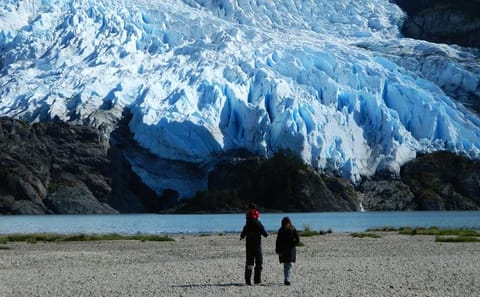 Glacier Cruise from Ushuaia to Punta Arenas with Scenic Stops
