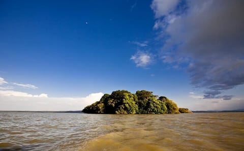 5-Day Cultural Tour of Bahir Dar and Gonder, Ethiopia