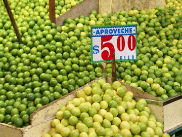 Mexico City Markets & Street Food Immersion