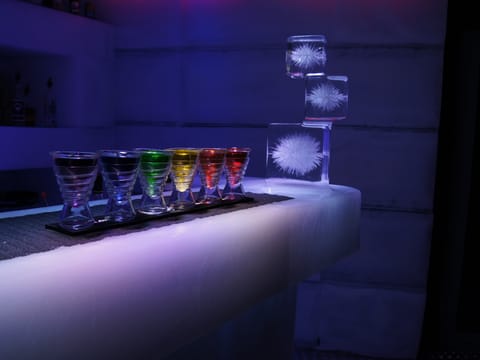 Magic Ice Reykjavik experience, photo 3