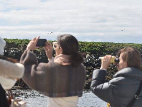 Reykjavík Classic Puffin Watching, photo 4