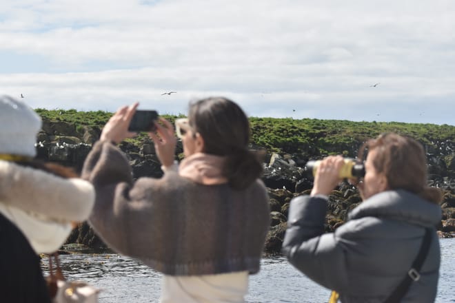 Reykjavík Classic Puffin Watching photo 4