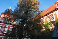 Highlights of Wroclaw Private Tour with One Entrance 5