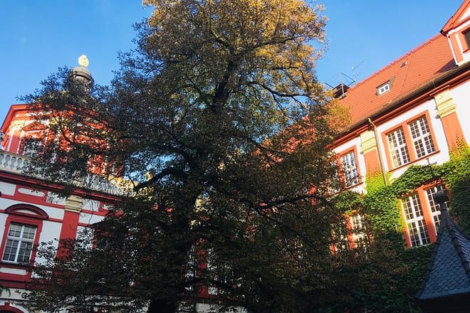 Highlights of Wroclaw Private Tour with One Entrance photo 5