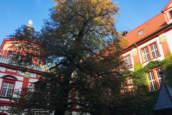 Highlights of Wroclaw Private Tour with One Entrance 5