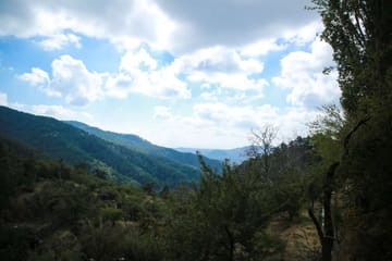Full-Day Cultural Tour of Troodos, Omodos, and Kykkos Monastery from Paphos