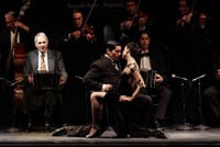 El Aljibe Tango Show with Private Transfers and Optional Dinner 4