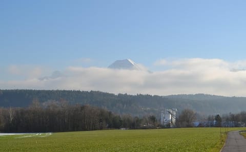 Private Walking Tour of Villach's History and Culture