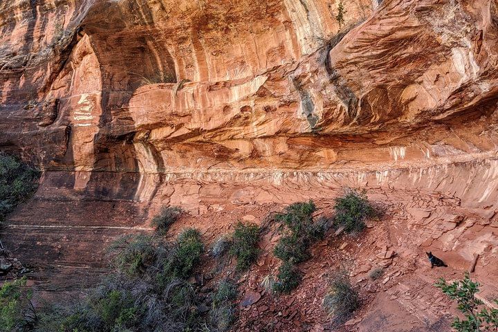 Side wall...up close!