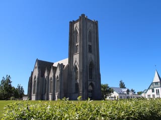 Private Reykjavík City Tour, photo 8