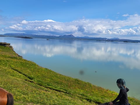 1 hour Riding tour Lake Myvatn area, photo 4