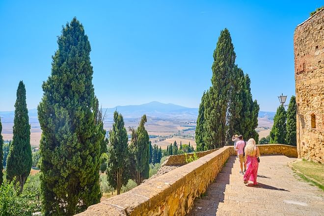 Full Day Tour to Val D'Orcia and Gladiator's fields: Montalcino, Montepulciano and Pienza with wine and cheese tasting