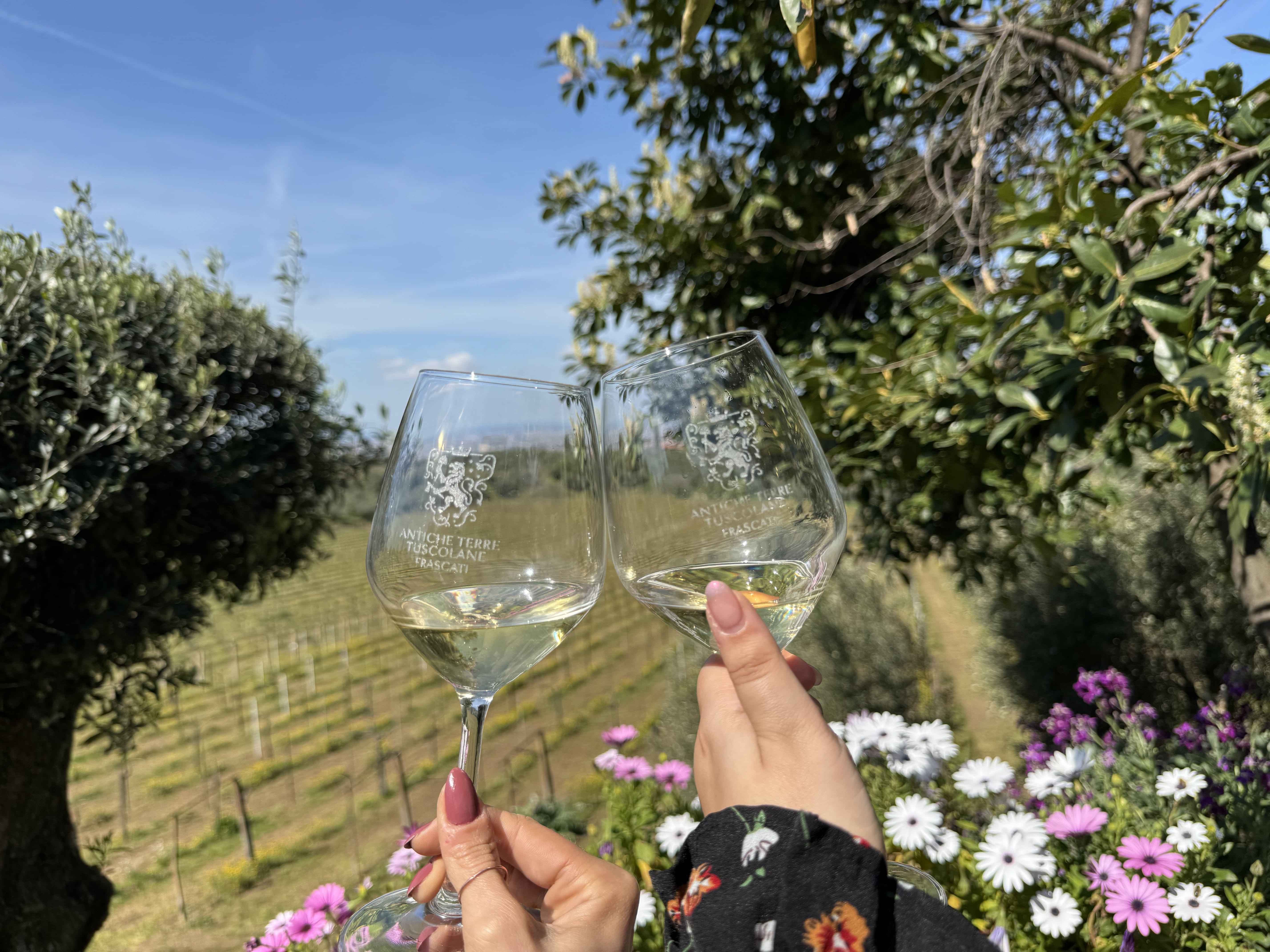 Two glasses of white wine raised in a toast overlooking the vineyards and rolling hills of the Castelli Romani during a Frascati wine tastin