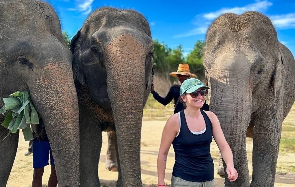 Cambodia Elephants and Phnom Kulen National Park Day Tour