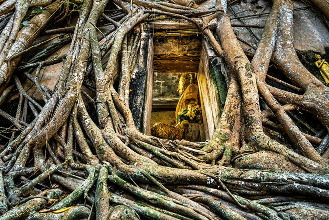 Bangkok: Railway Market, Wat Bang Kung & Klong Khon Tour