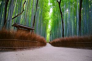 Private Tour - Feel the history of Kyoto! Arashiyama Perfect Tour