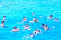 Cabo Catamaran Cruise – Arch, Snorkeling, Open Bar & Snacks 8