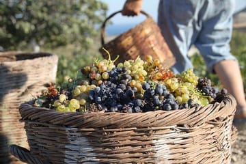 Santorini All Inclusive Full Day Private Tour