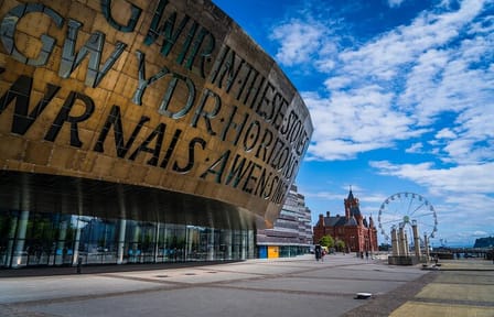 Cardiff City Orientation Tour with Bute Park and Museum Visit